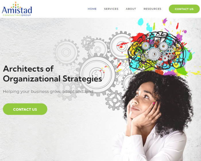 Screenshot Image of the Amistad Consulting Group Website